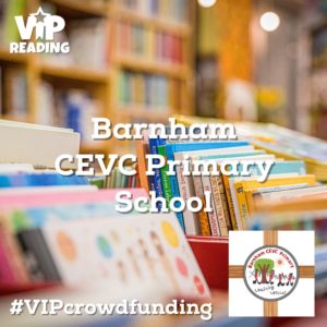 Barnham CEVC Primary School - VIP Crowdfund