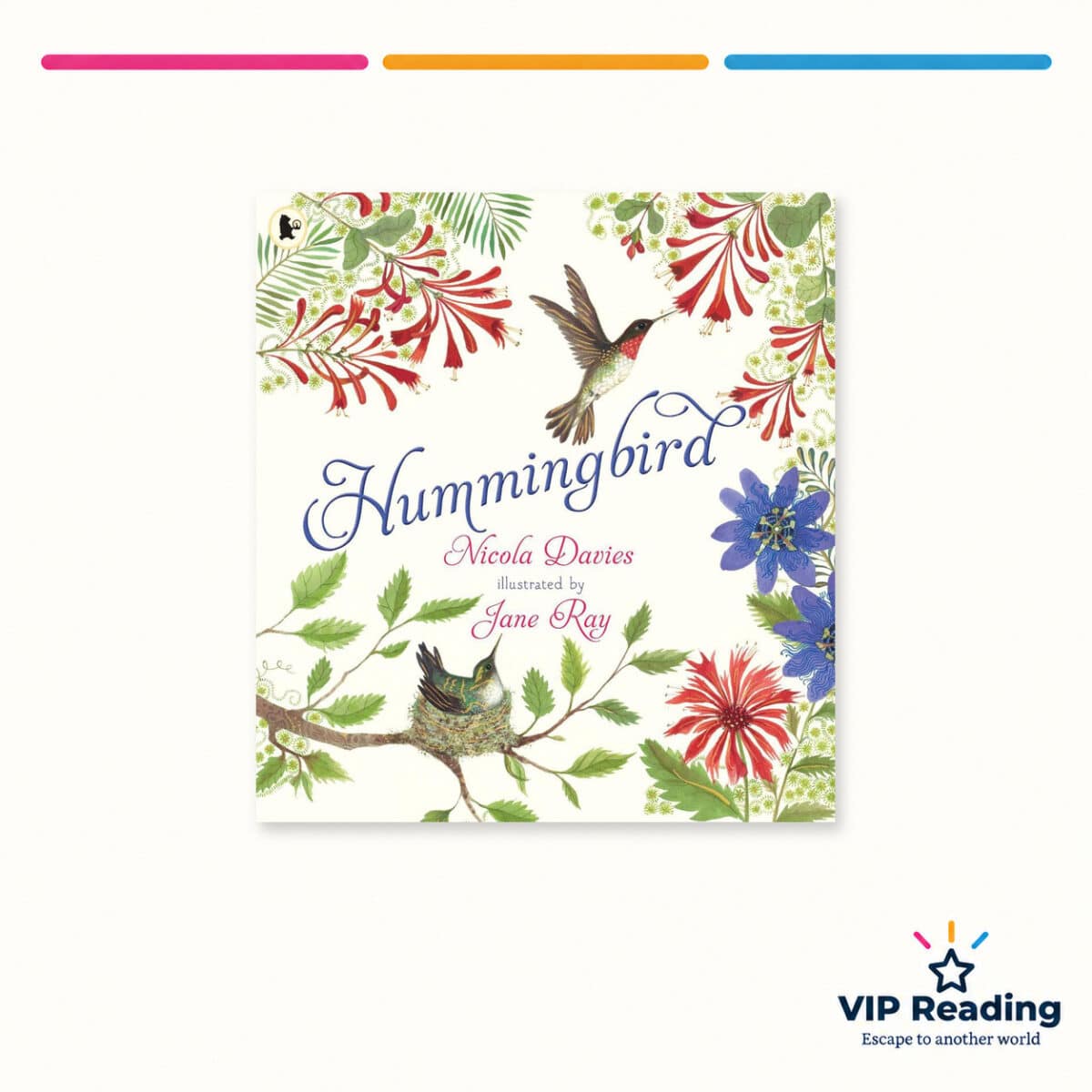 Hummingbird