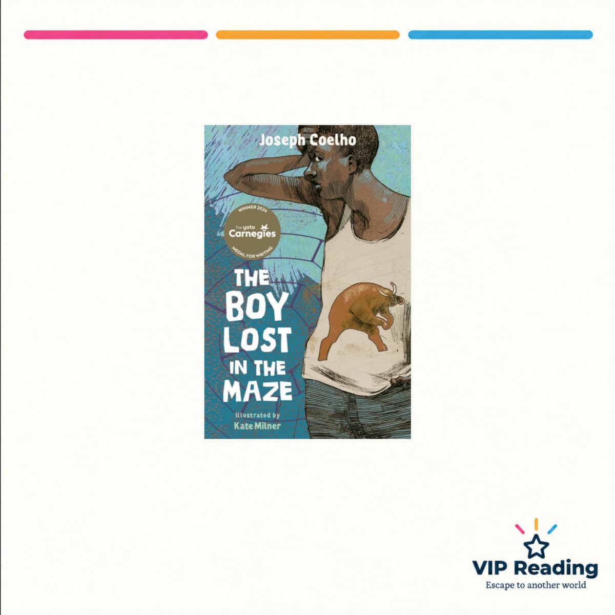 The Boy Lost in the Maze — ISBN 9781915659750 — original book cover on the VIP Reading ivory template